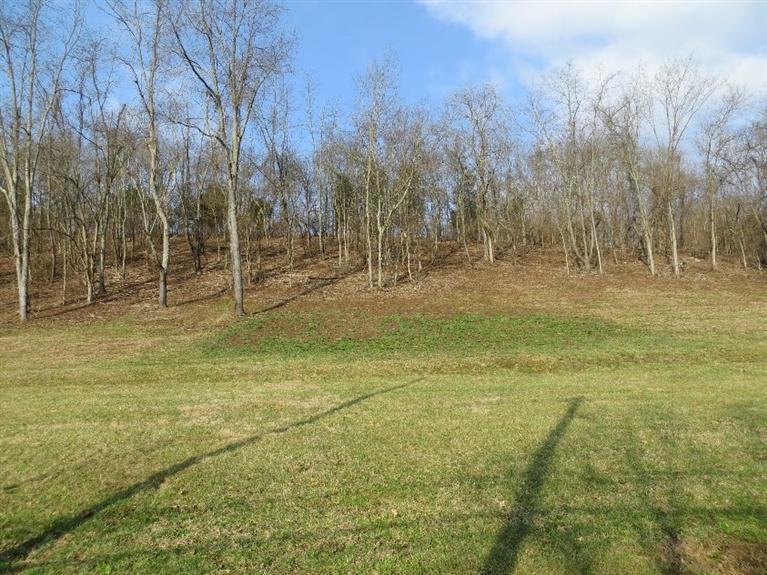 0 Switzer Road - Photo 1
