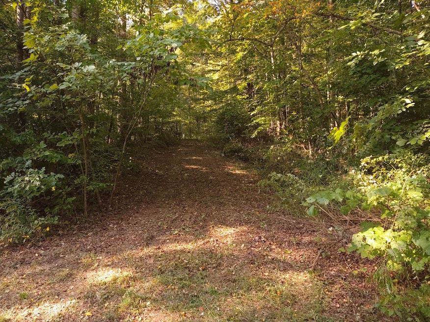 216 Dusty Road - Photo 1