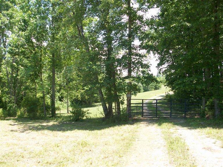 204 Log Cabin Rd. - Photo 1