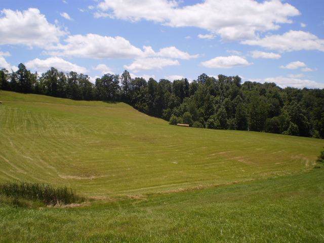 13000 Kentucky 32 - Photo 1