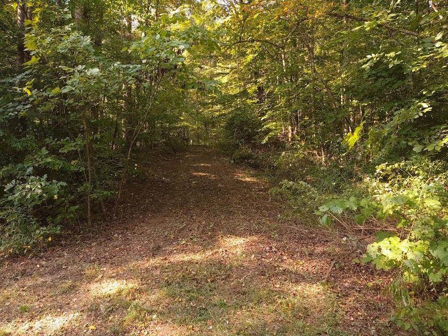 216 Dusty Road - Photo 1
