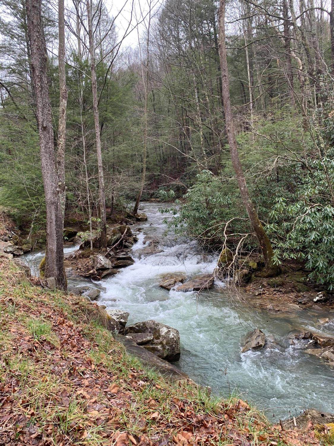 3737 Crane Creek Road - Photo 1