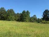 3529 Cabin Creek Rd - Photo 1