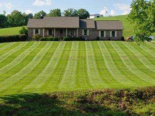 800 Scaffold Lick Creek Road - Photo 1