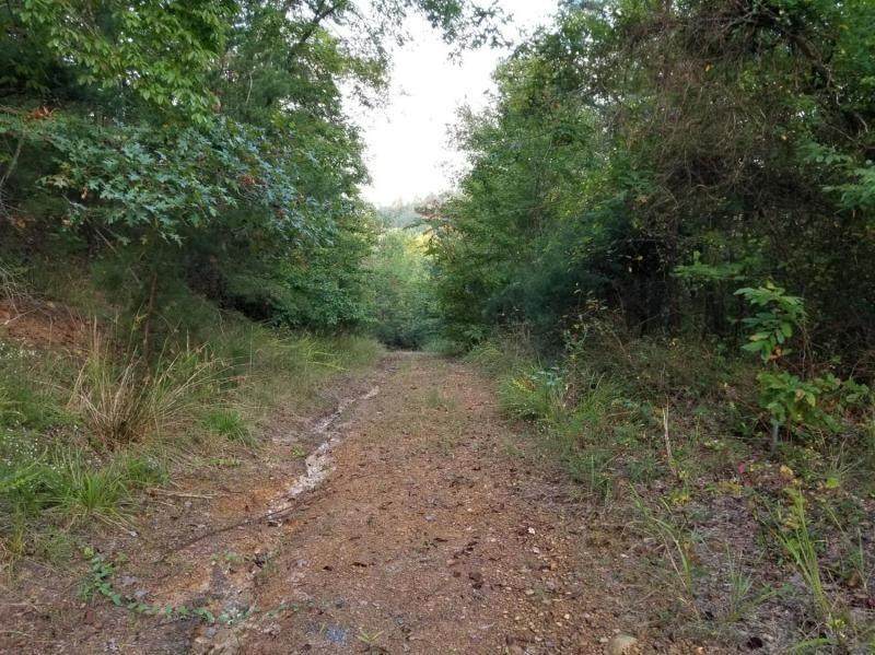 1274 White Lily Church Road - Photo 1