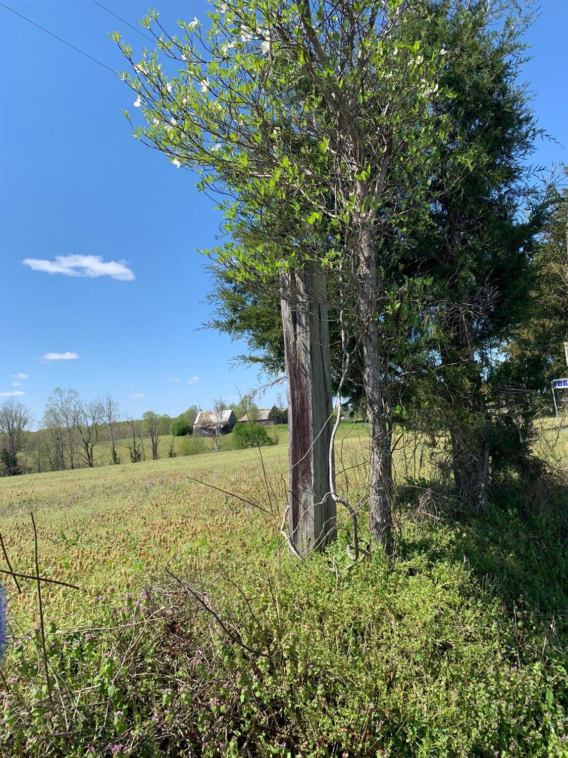 4225 Hickory Nut Road - Photo 1