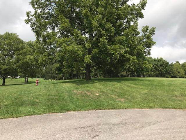 111 Locust Grove Drive - Photo 1