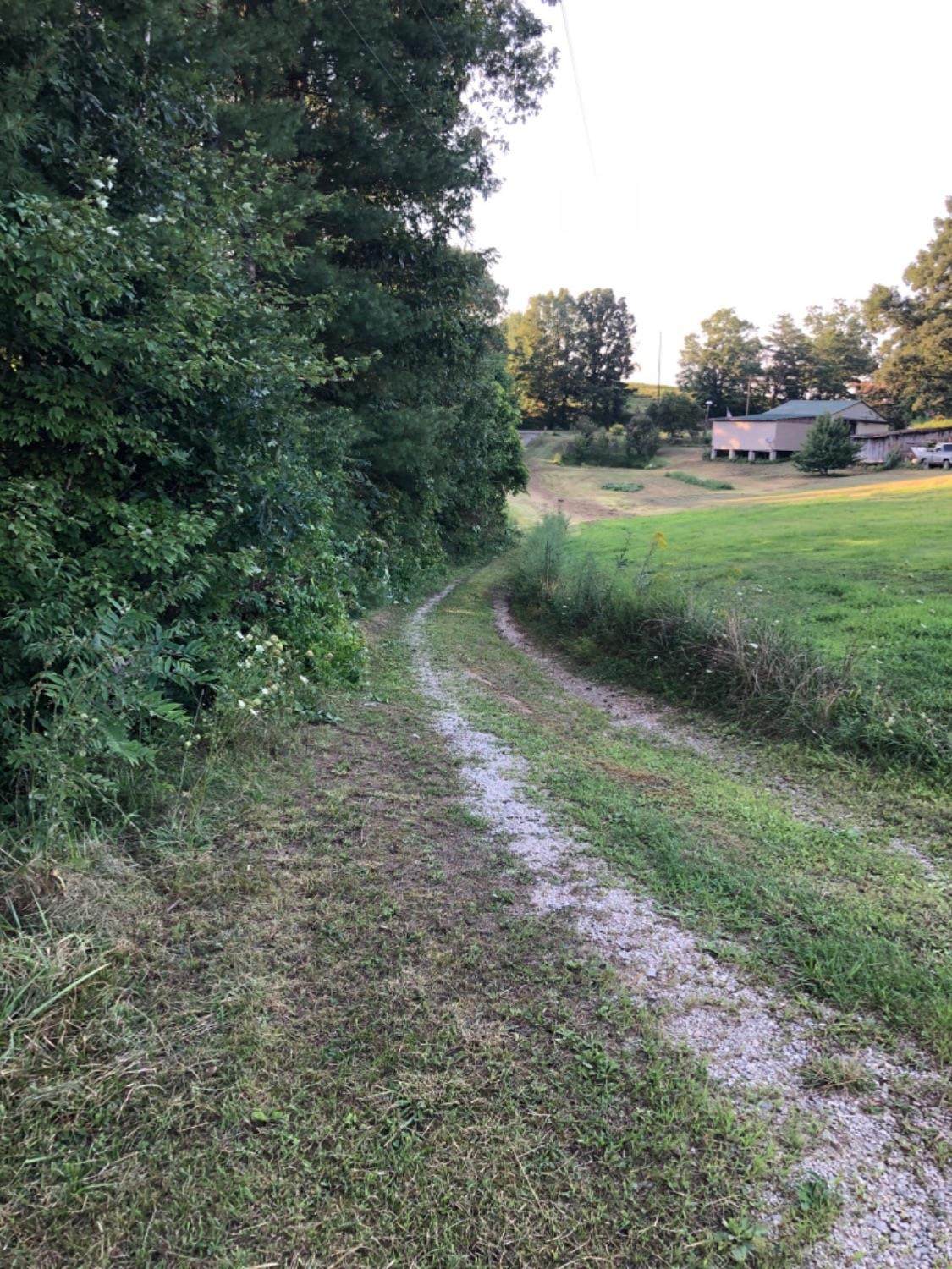 2827 Trapp Goffs Corner Road - Photo 1