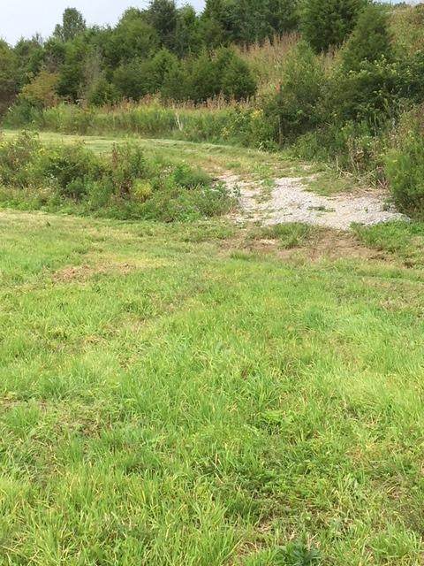 1 Rogers Gap Road - Photo 1