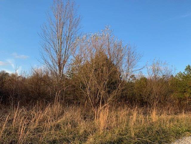 1600 Mauney Chapel Road - Photo 1
