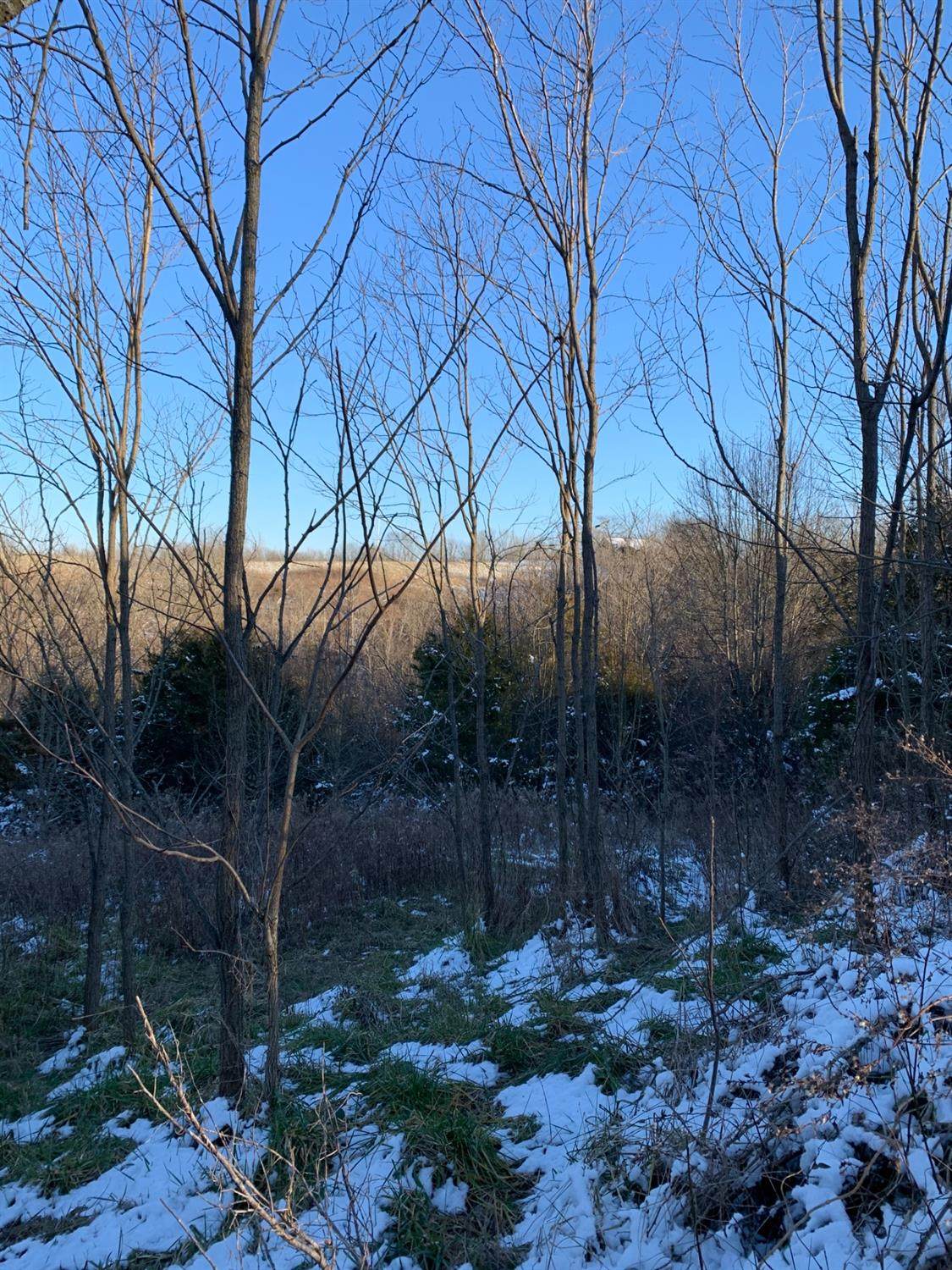 1711 Willisburg Road - Photo 1