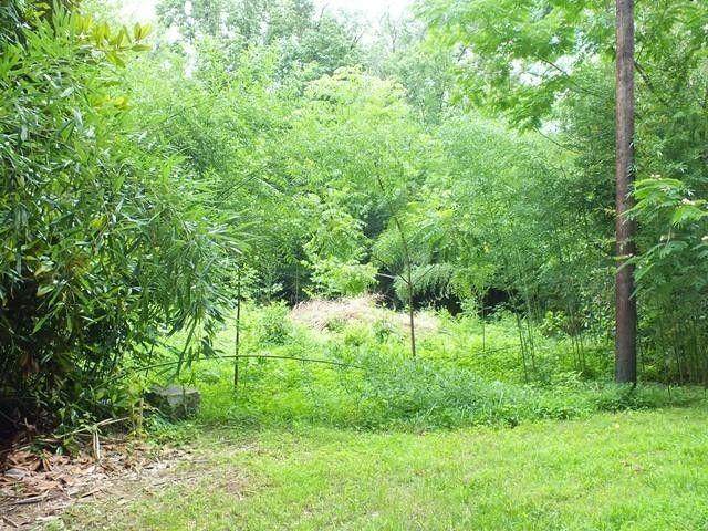 45 & 46 Dix Drive - Photo 1