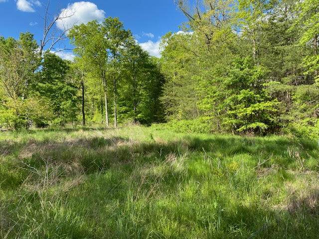 0 Cottonwood Ln - Photo 1