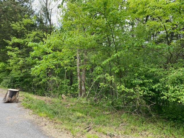 410 Doe Run Court - Photo 1