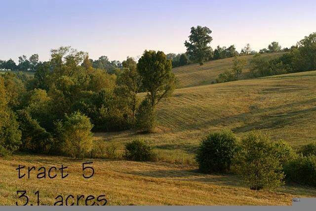 0 Deer Chase, Tract 5 - Photo 1