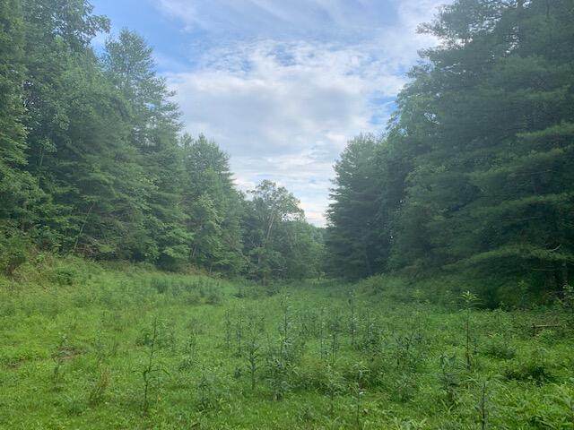 691 Dry Branch Road - Photo 1