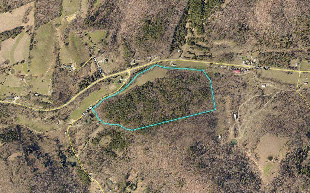 01 State Hwy 1675 - Photo 1