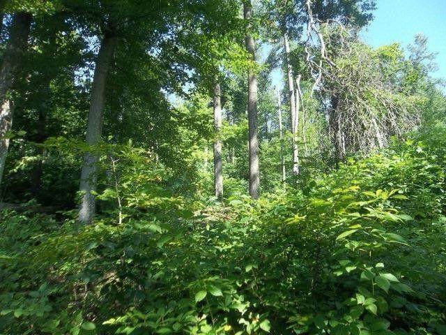 Lot 9 Promise Land Drive - Photo 1