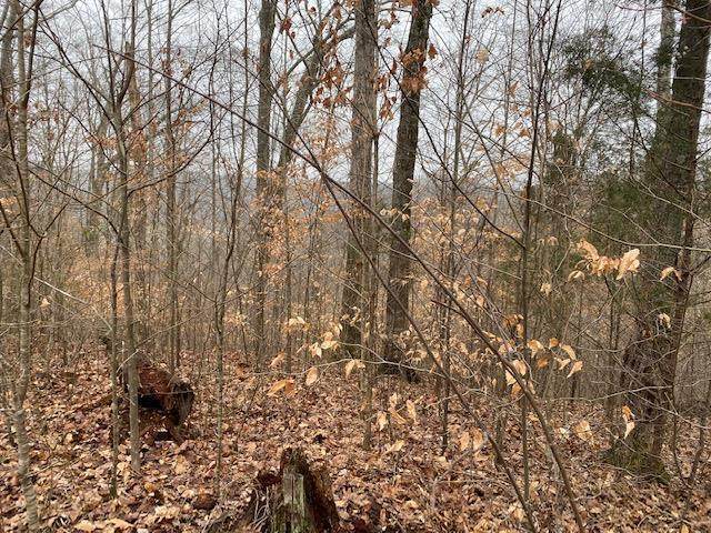 Lot 51 Griffin Trail - Photo 1