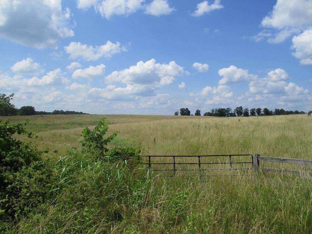KY 3301 0000 - Photo 1