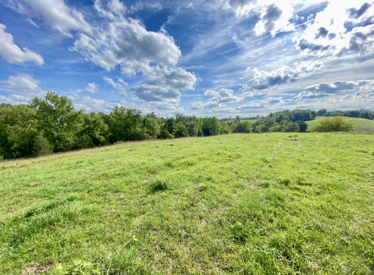 5244 Deep Creek Road - Photo 1