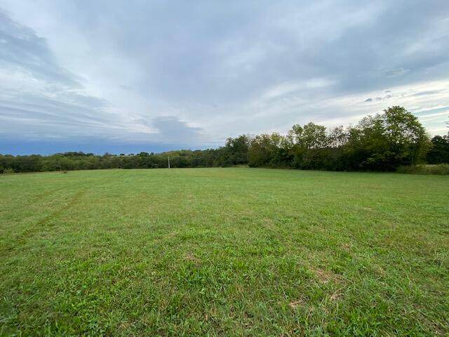 2175 Chrisman Mill-Lot #7 Road - Photo 1