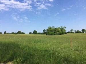2075 Chrisman Mill-Lot #5 Road - Photo 1