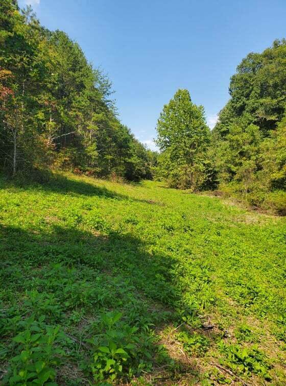 55 Wide Creek Road - Photo 1