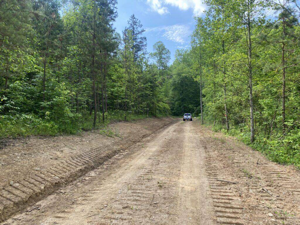 1111 High Knob Ridge Hwy 577 - Photo 1