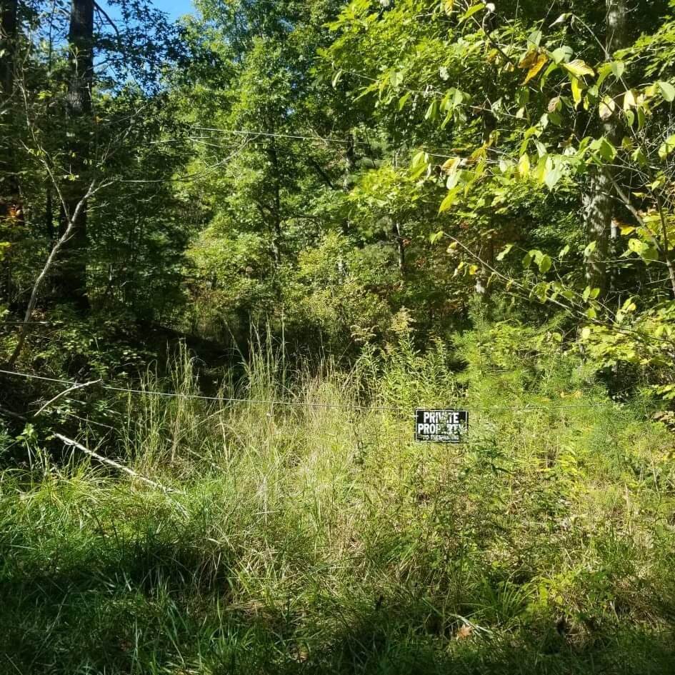 170 Turkey Creek Rd - Photo 1