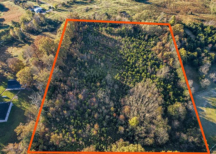 1740 Gaffney Road Road - Photo 1