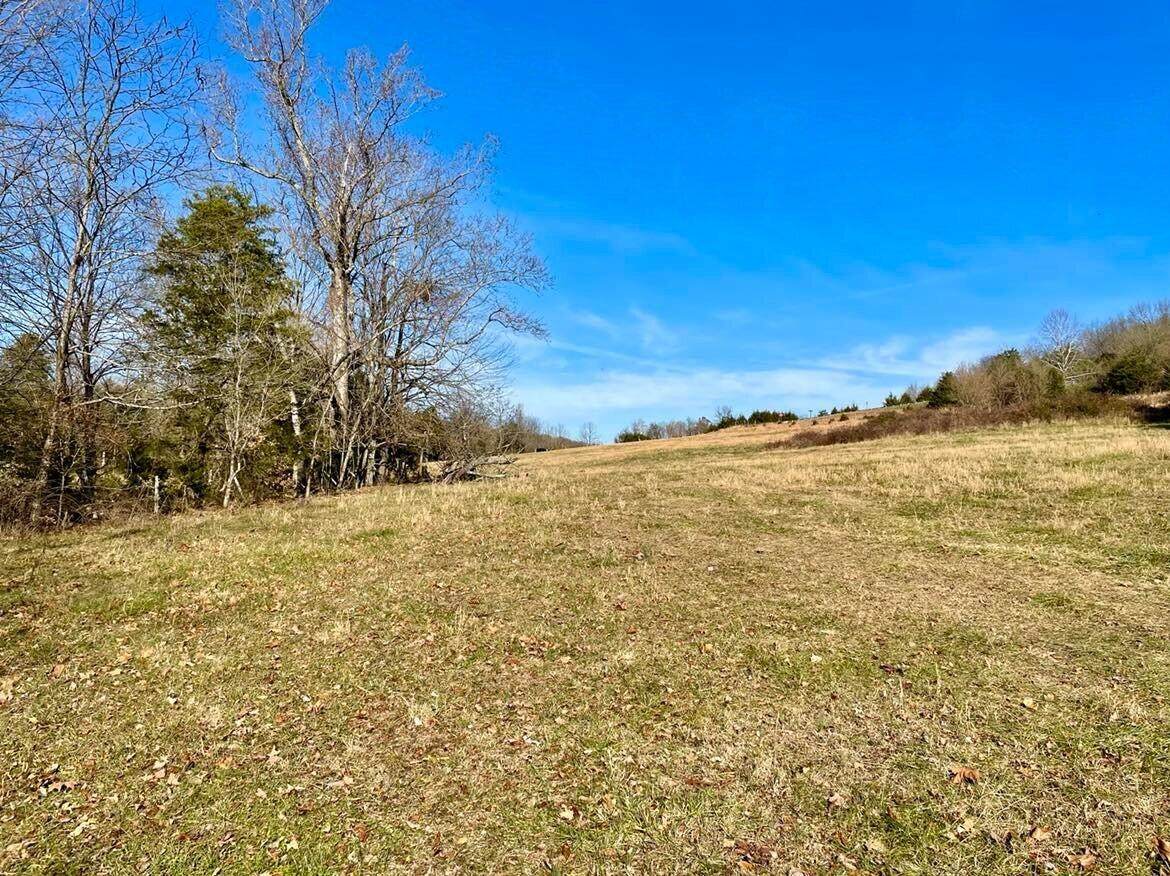 231-1 Highway 1003 - Photo 1