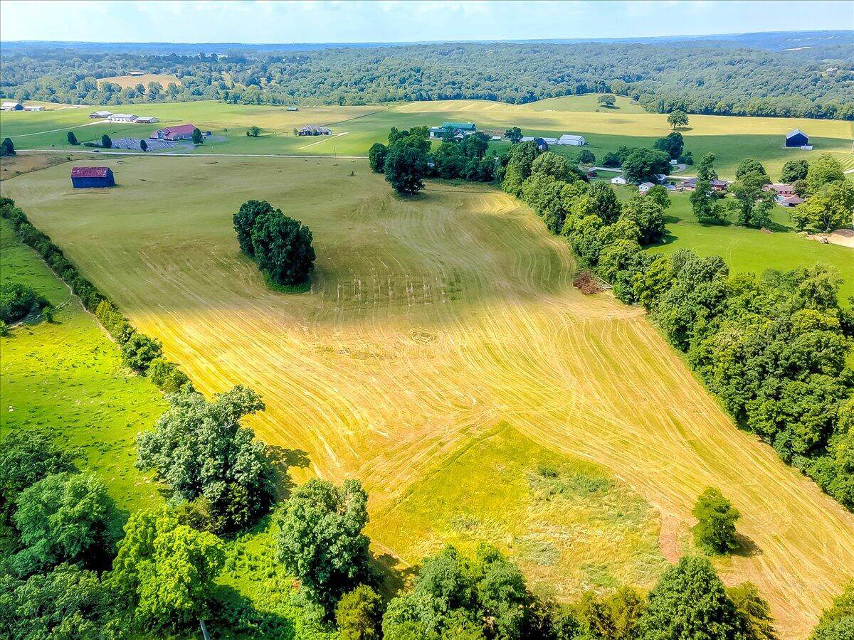 Tract TBD Devils Hollow Road - Photo 1