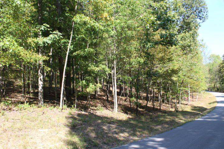 1282 Haynes Knob Road - Photo 1