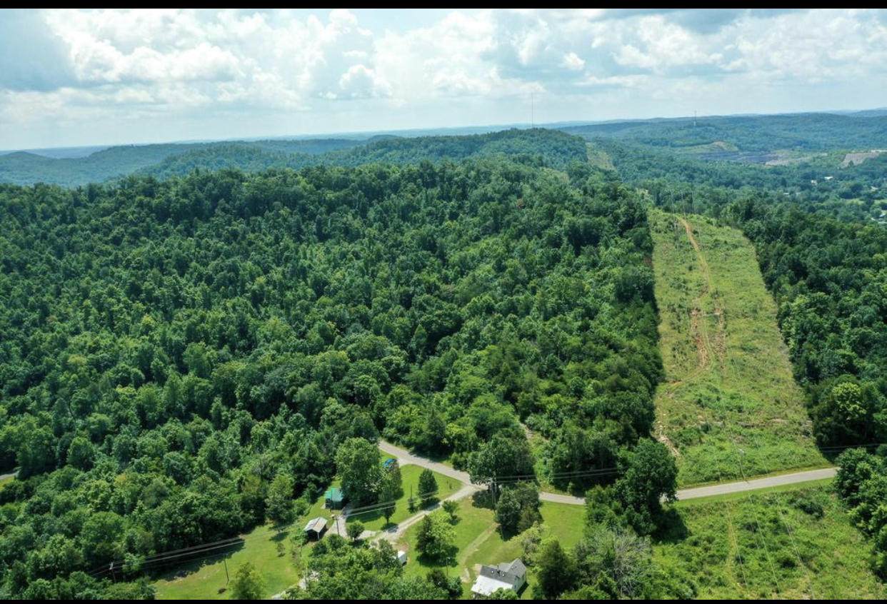 1105 Tateville Antioch Road - Photo 1