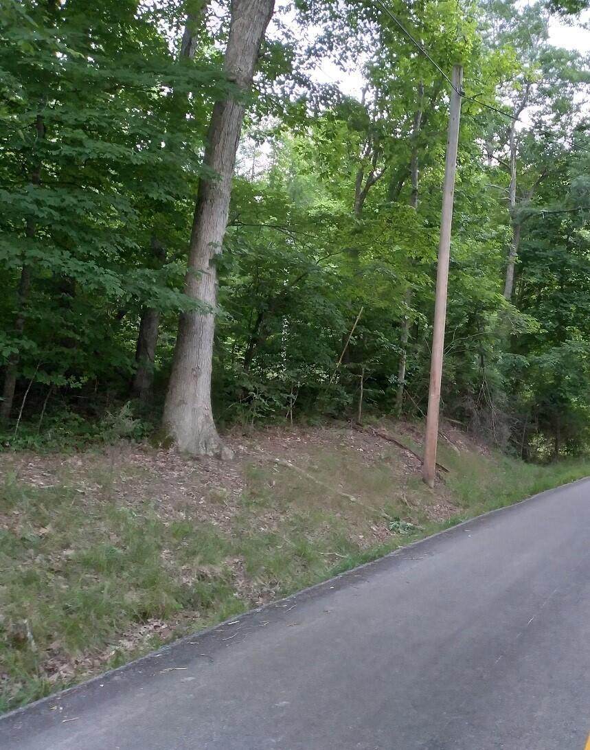 https://bt-photos.global.ssl.fastly.net/lexington/1280_boomver_1_20250730095925527577000000-2.jpg