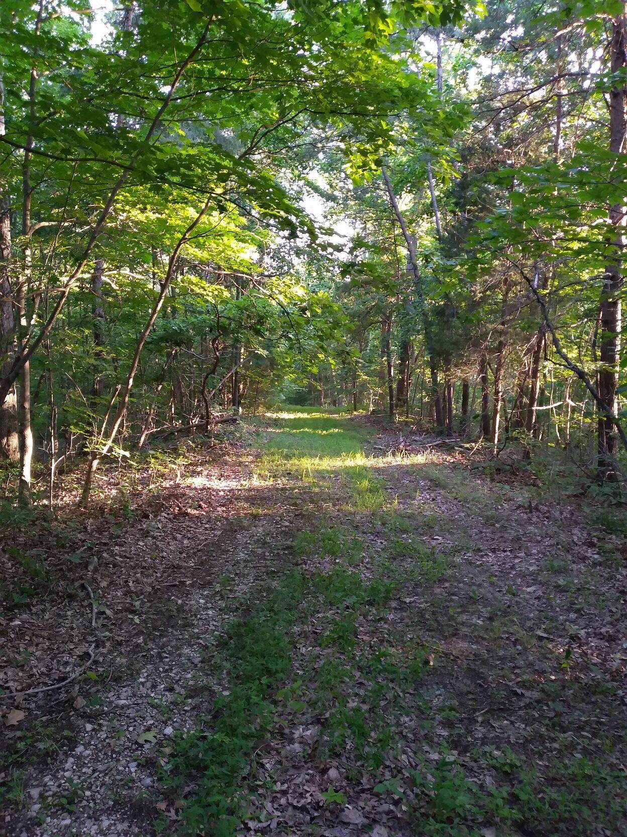 https://bt-photos.global.ssl.fastly.net/lexington/1280_boomver_1_20250730100234279490000000-2.jpg