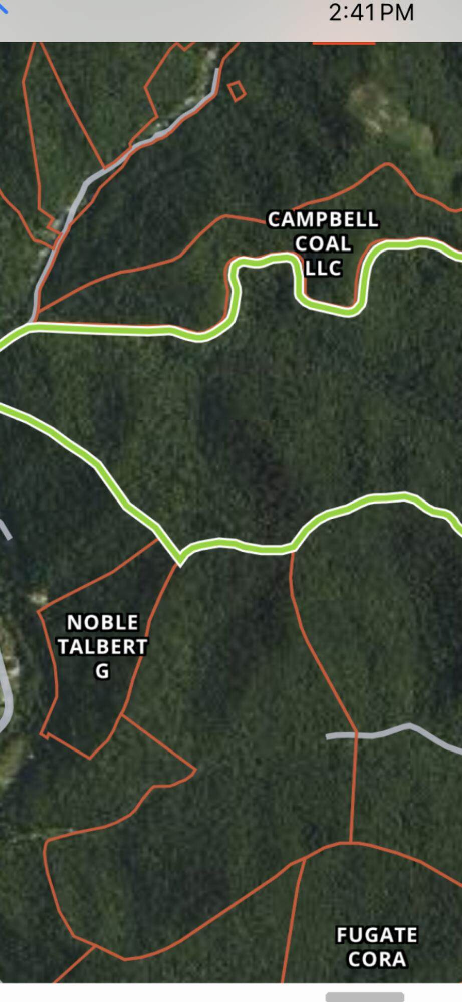 0 Russell Branch Road - Photo 1