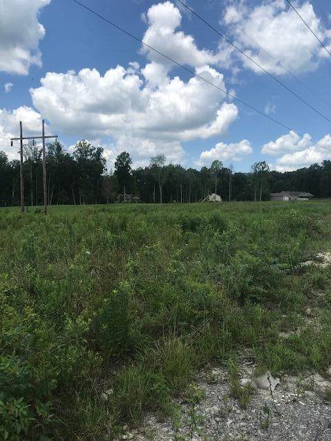 9999 Mitchell Creek Road - Photo 1