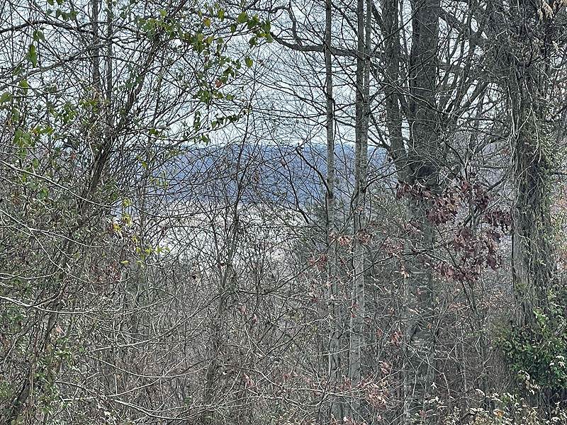 Lot 138 Stillwater - Photo 1