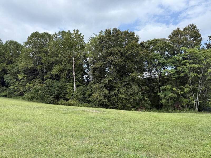 Lot 92 Stillwater - Photo 1