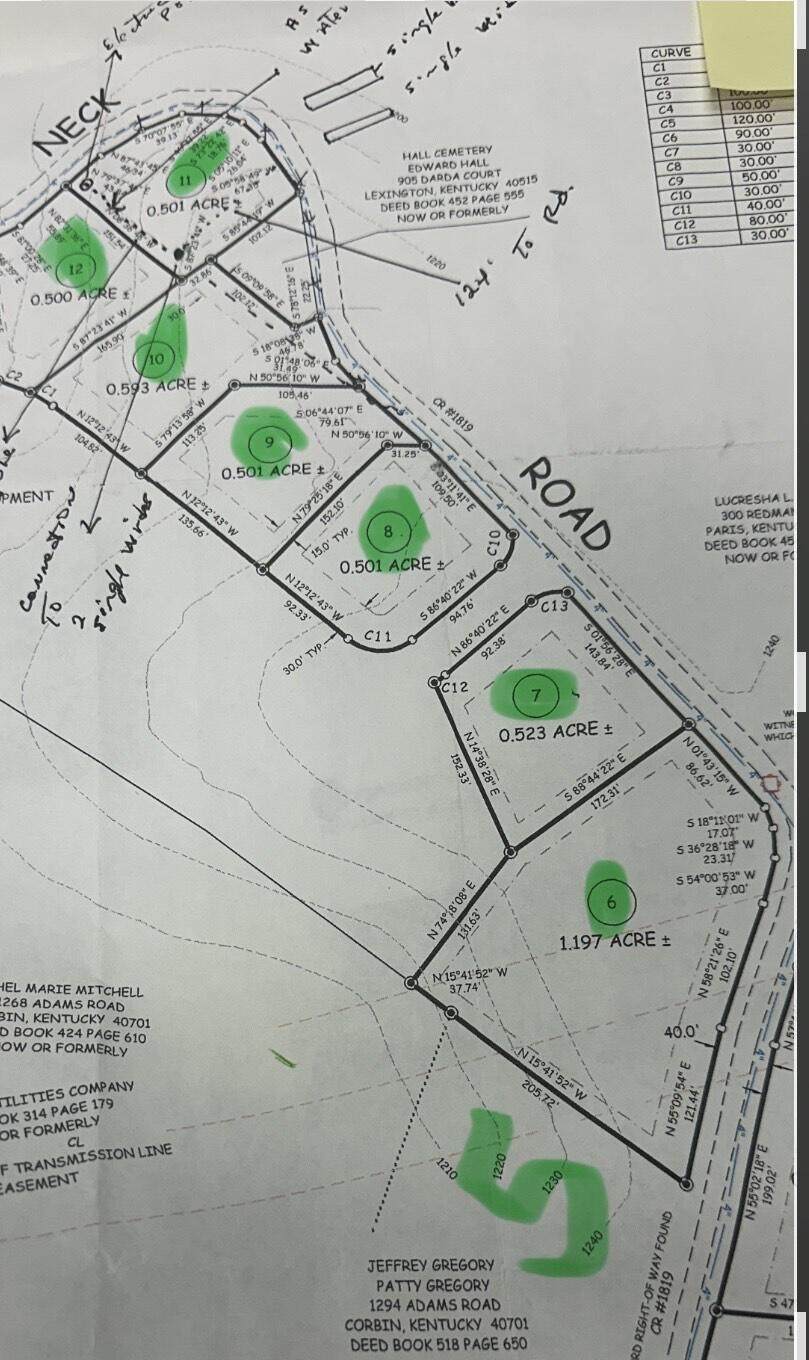 12 Devils Neck Road - Photo 1
