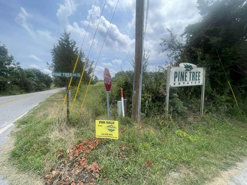 https://bt-photos.global.ssl.fastly.net/lexington/orig_boomver_1_20260302201856565620000000-2.jpg