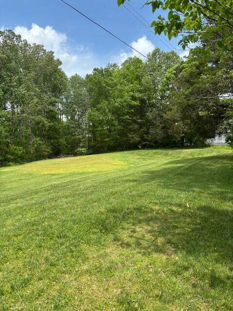 3 Nelson Mill Road - Photo 1