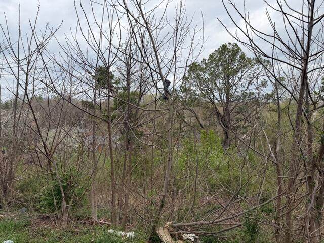 Lot 40 Mcfadden Drive - Photo 1