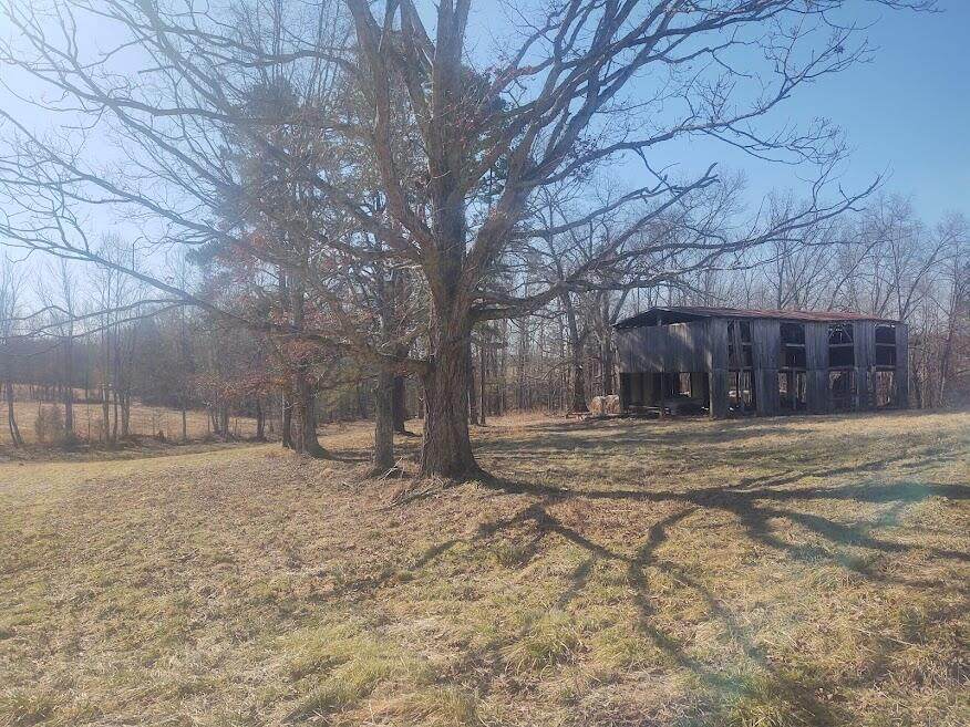 https://bt-photos.global.ssl.fastly.net/lexington/orig_boomver_1_20260415143552271962000000-2.jpg