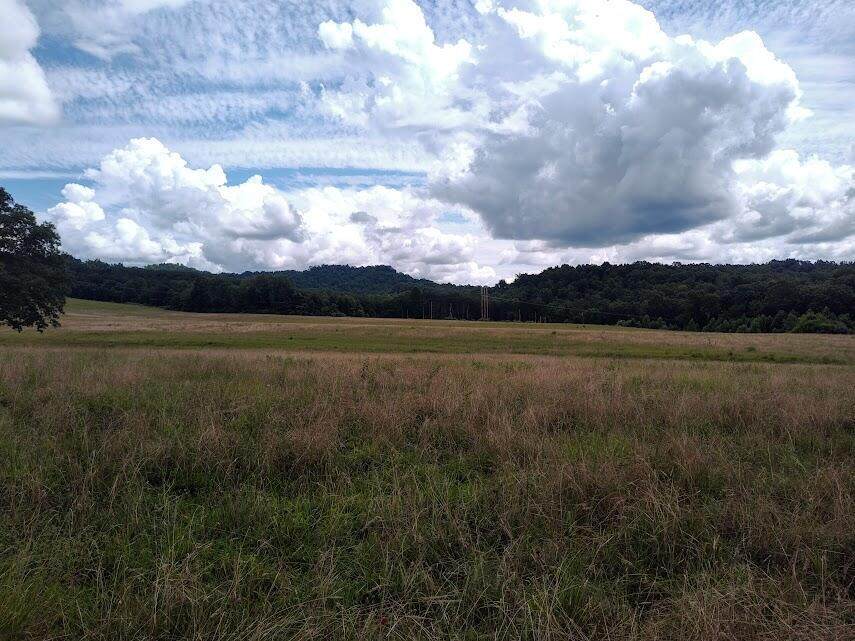 460 Skaggs Road - Photo 1