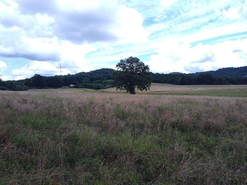 https://bt-photos.global.ssl.fastly.net/lexington/orig_boomver_1_20260415144124593850000000-2.jpg