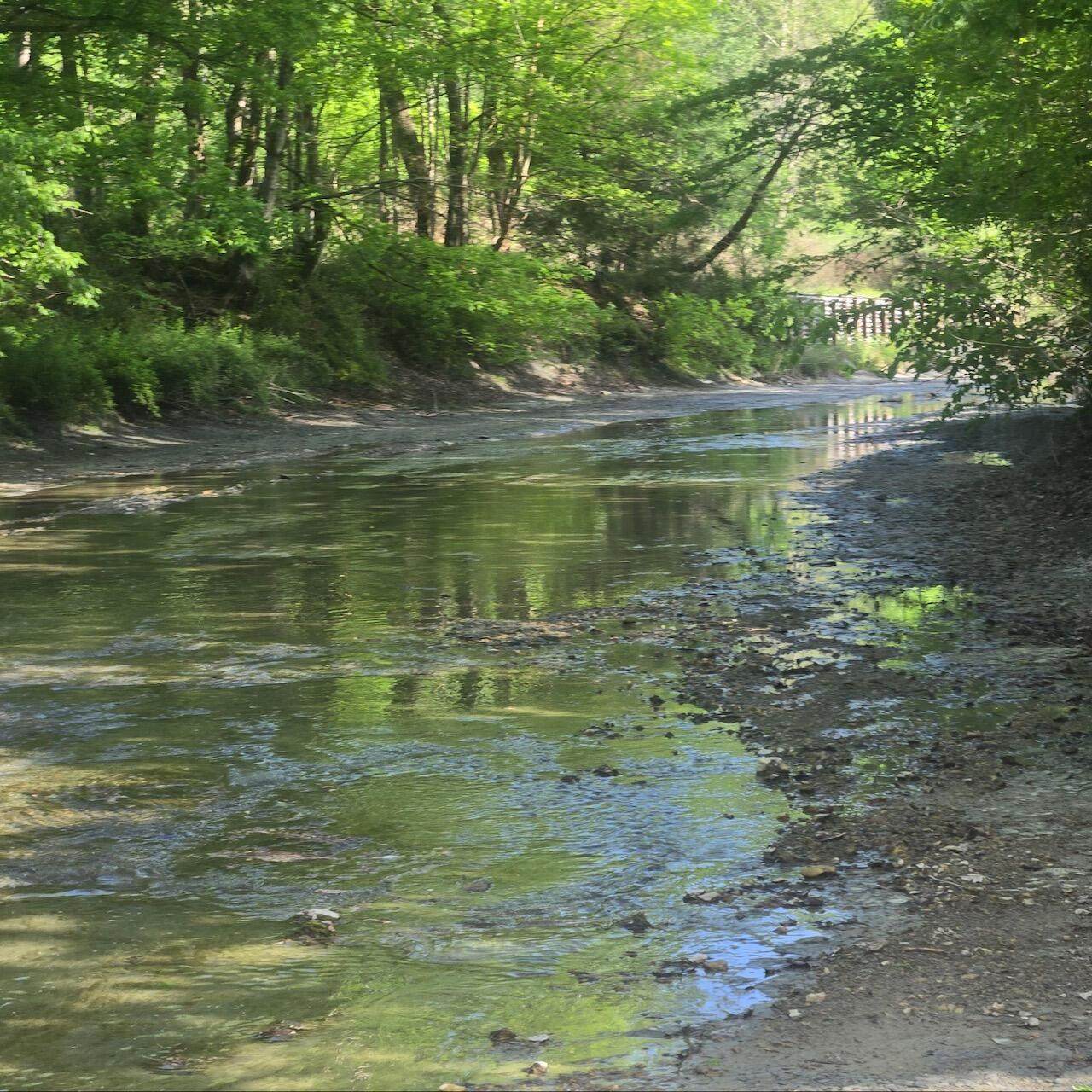 https://bt-photos.global.ssl.fastly.net/lexington/orig_boomver_1_20260428204151194772000000-2.jpg