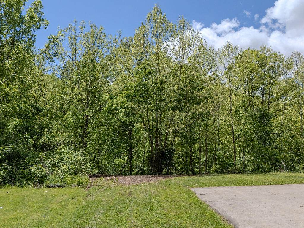 TBD Flemingsburg Rd - Photo 1